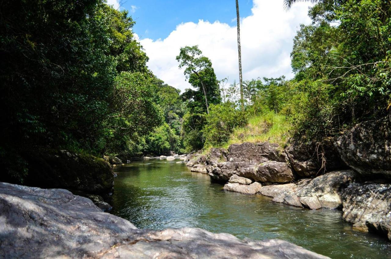 Sitio Flor Das Aguas Lumiar Exterior photo